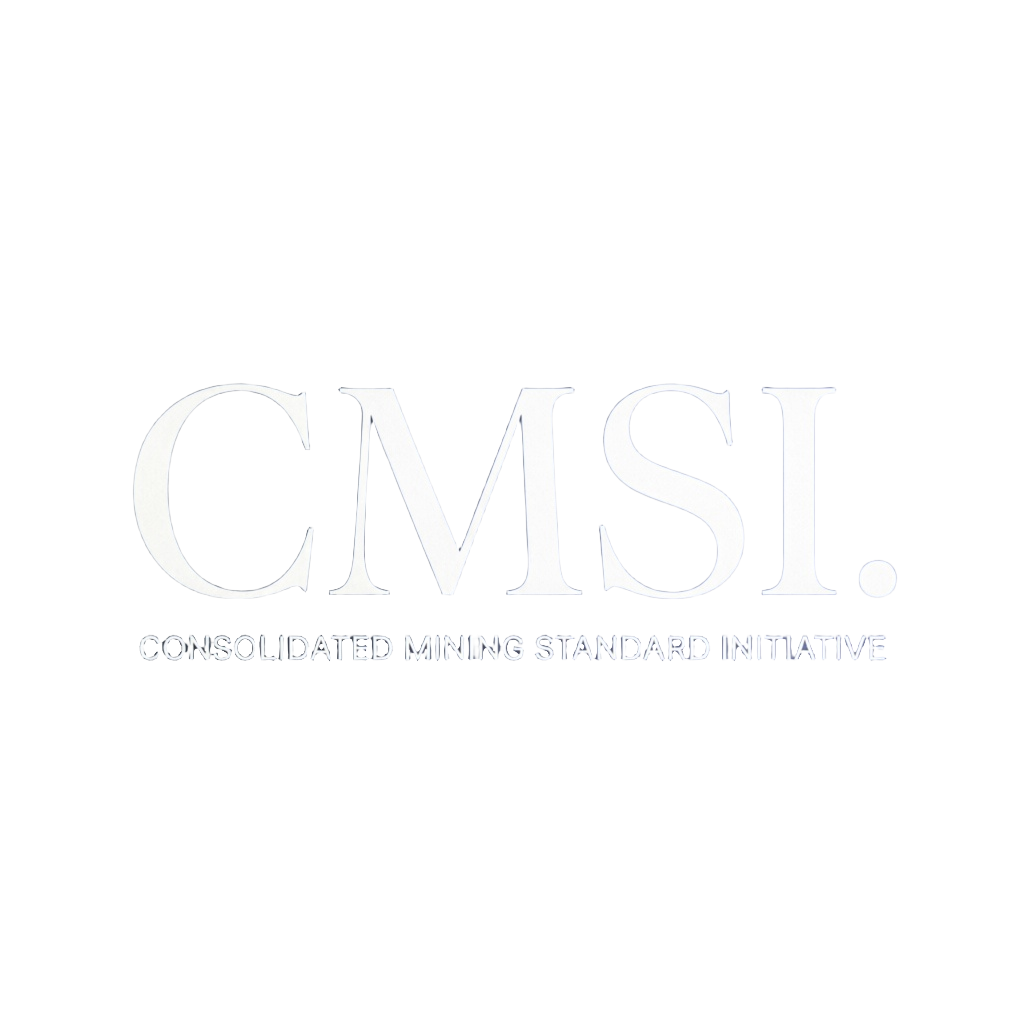 CMSI logo